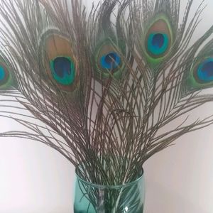 5 Peacock Feathers and 3 tin candles lightly scent